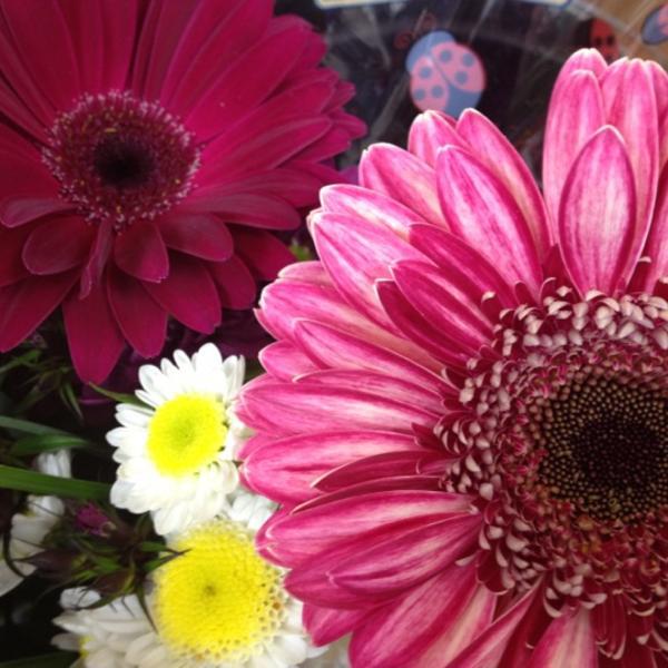 Photo taken at Trader Joe's by Klari ❤(•͡.̮ ~͡) on 5/6/2012-纽泽西 韦恩汉堡收费公路1172(502州线) Photo taken at Trader Joe's by Klari ❤(•͡.̮ ~͡) on 5/6/2012