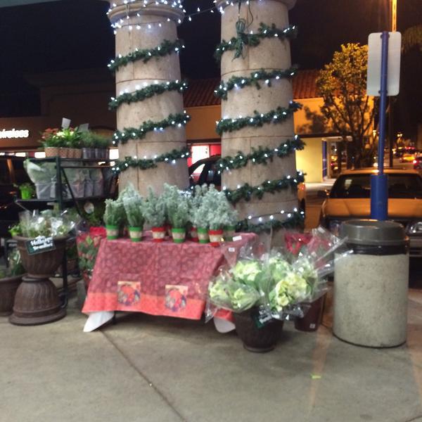 Photo taken at Trader Joe's by Bette C. on 12/17/2014
