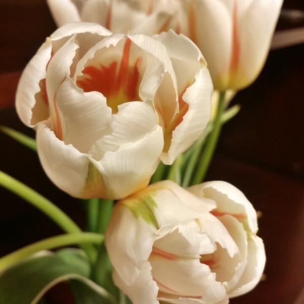 Photo taken at Trader Joe's by Gloria Z. on 6/24/2014