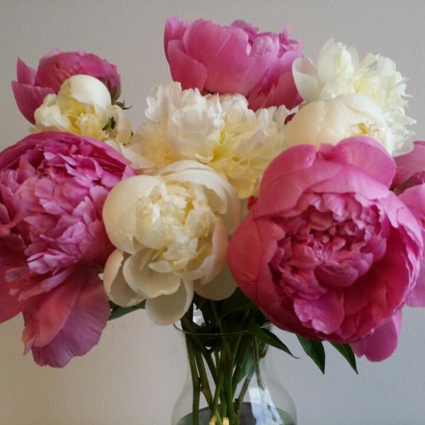 Photo taken at Trader Joe's by Gloria Z. on 6/24/2014