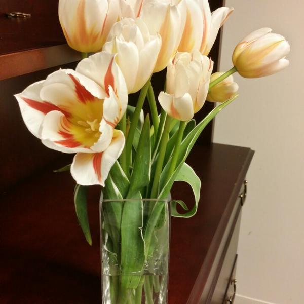 Photo taken at Trader Joe's by Gloria Z. on 6/24/2014