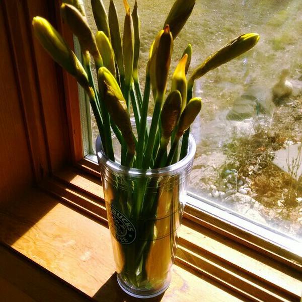 Photo taken at Trader Joe's by Ga hee K. on 3/17/2015