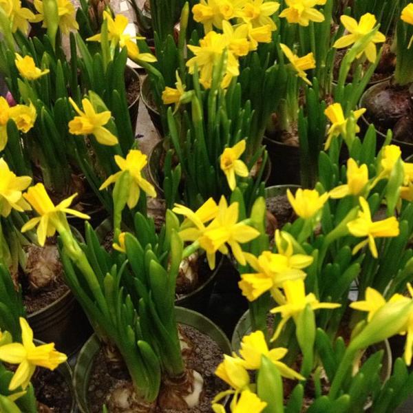 Photo taken at Loblaws by Fariba R. on 3/12/2013-加拿大多伦多圣克莱大道12圣克莱尔中心 Photo taken at Loblaws by Fariba R. on 3/12/2013