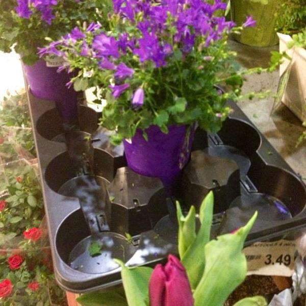 Photo taken at Loblaws by Fariba R. on 2/1/2013-加拿大多伦多圣克莱大道12圣克莱尔中心 Photo taken at Loblaws by Fariba R. on 2/1/2013