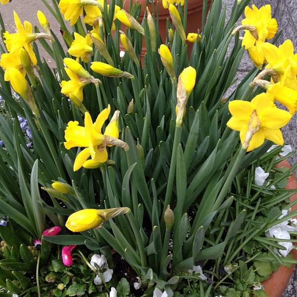 Photo taken at Loblaws by Fariba R. on 4/10/2013-加拿大多伦多圣克莱大道12圣克莱尔中心 Photo taken at Loblaws by Fariba R. on 4/10/2013