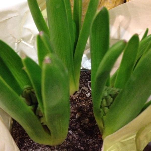 Photo taken at Loblaws by Fariba R. on 3/12/2013-加拿大多伦多圣克莱大道12圣克莱尔中心 Photo taken at Loblaws by Fariba R. on 3/12/2013