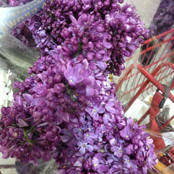 Photo taken at Trader Joe's by Cindy Z. on 3/27/2013-美国加利福尼亚州长滩太平洋海岸高速公路东6451 Photo taken at Trader Joe's by Cindy Z. on 3/27/2013