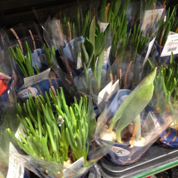 Photo taken at Coop Superstore by Sara P. on 1/21/2012-意大利特伦蒂诺-上阿迪杰特伦托迪盖斯柏瑞街1 Photo taken at Coop Superstore by Sara P. on 1/21/2012