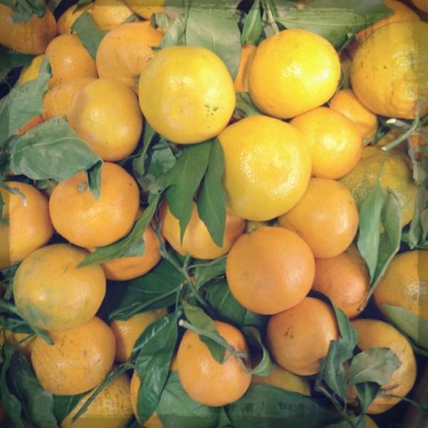 Photo taken at Whole Foods Market by Regan on 11/17/2012-科罗拉多州丹佛市县华盛顿南街1111号 Photo taken at Whole Foods Market by Regan on 11/17/2012