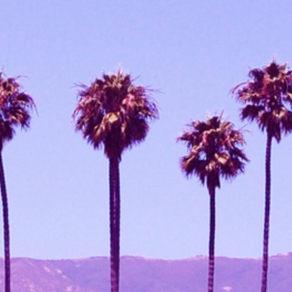 Photo taken at Trader Joe's by Shanelle U. on 4/28/2013-美国加利福尼亚州洛杉矶日落大道西8000 Photo taken at Trader Joe's by Shanelle U. on 4/28/2013