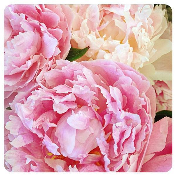 Photo taken at Trader Joe's by Jennifer W. on 6/16/2013