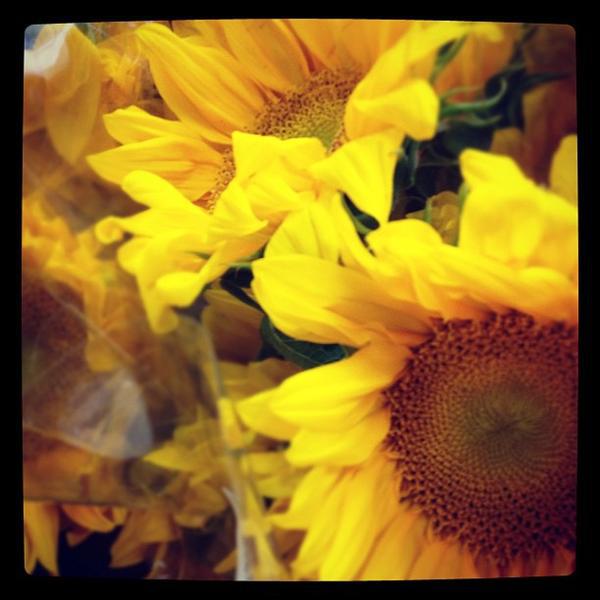 Photo taken at Trader Joe's by Marion R. on 4/30/2012