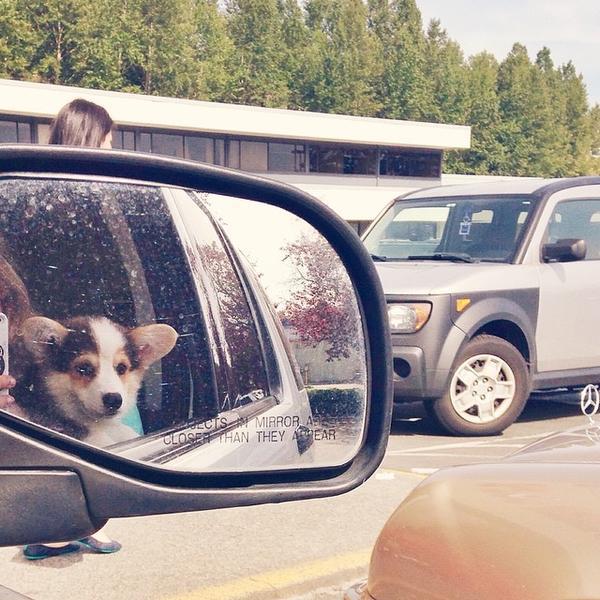 Photo taken at Trader Joe's by Angie D. on 5/21/2014-华盛顿州柯克兰第120大街12632号 Photo taken at Trader Joe's by Angie D. on 5/21/2014