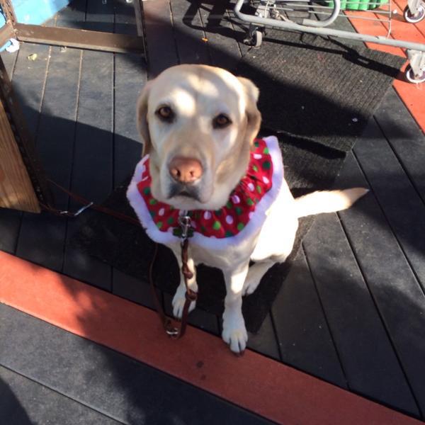 Photo taken at Trader Joe's by Caroline S. on 12/20/2013-加利福尼亚州红木路2052号 Photo taken at Trader Joe's by Caroline S. on 12/20/2013