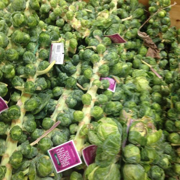 Photo taken at Trader Joe's by Russell P. on 10/3/2014-南卡莱罗纳州查尔斯顿市芒特普莱森特约翰尼多兹大道401号 Photo taken at Trader Joe's by Russell P. on 10/3/2014