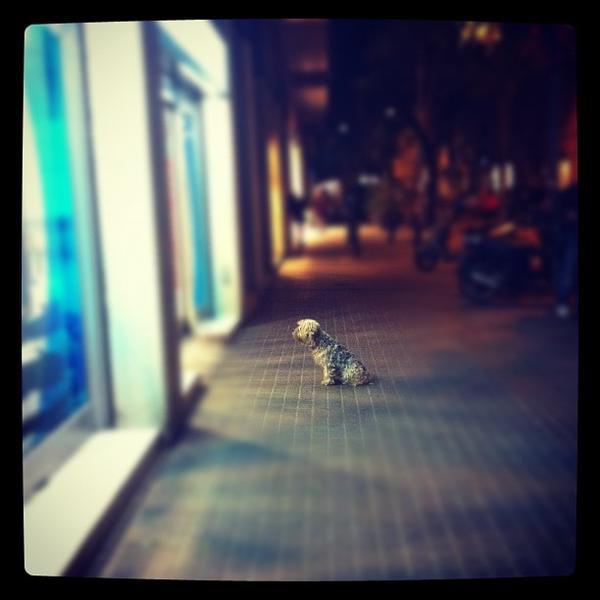 Photo taken at Caprabo by mononelo e. on 1/31/2012