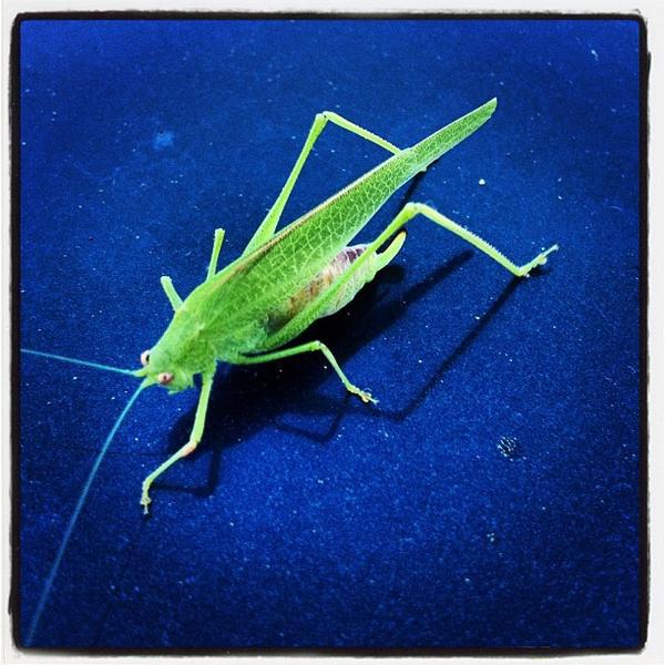 Photo taken at Trader Joe's by Bob D. on 10/18/2012