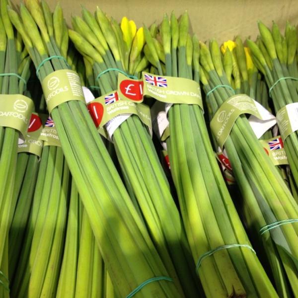 Photo taken at Waitrose by Nadya B. on 1/19/2013