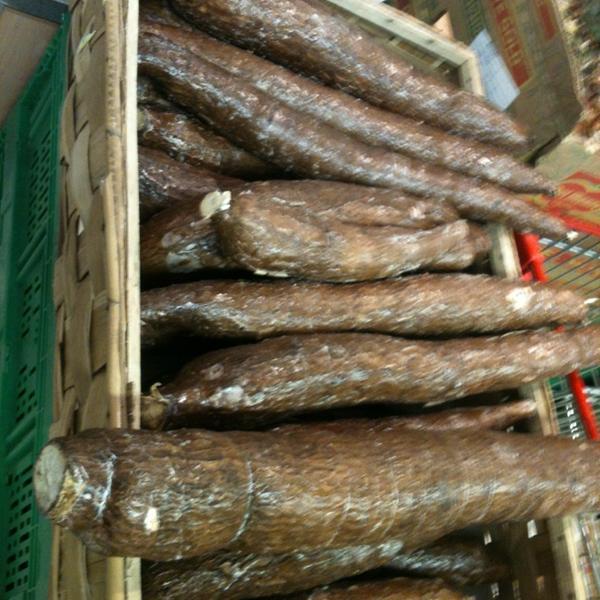 Photo taken at Coop by Charline L. on 9/28/2013-意大利托斯卡纳普拉托阿尔普莱亚迪街11-13 Photo taken at Coop by Charline L. on 9/28/2013