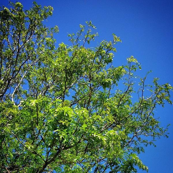 Photo taken at Whole Foods Market by Jason S. on 6/10/2014-科罗拉多80123 利特尔顿 沃兹沃思大道南(沃兹沃斯和丽景)5155号 Photo taken at Whole Foods Market by Jason S. on 6/10/2014