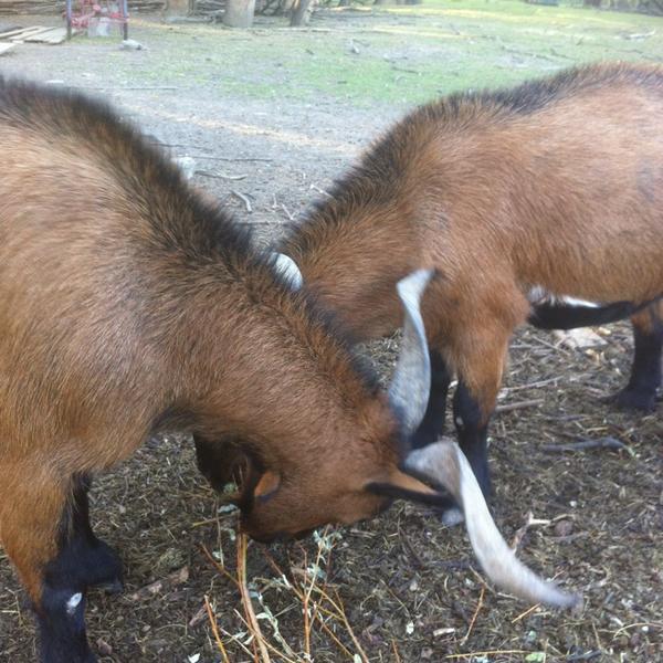 Photo taken at Proxy Delhaize by Niko's H. on 9/5/2013