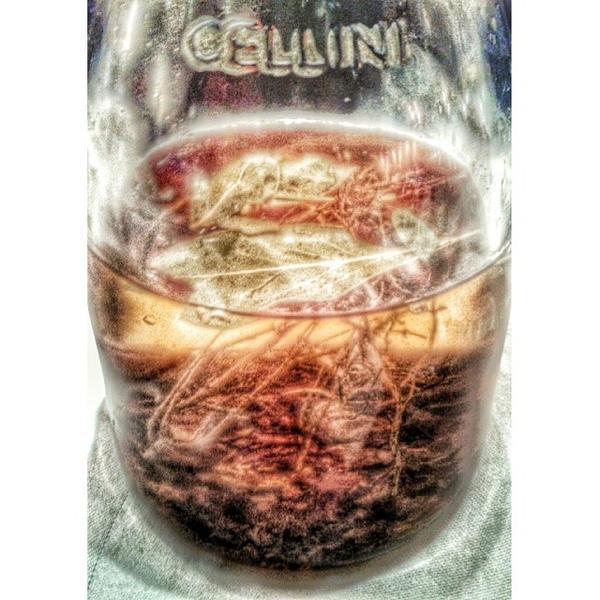 Photo taken at Trader Joe's by Emiliano L. on 2/8/2014-美国加利福尼亚州托拉克拉雷斯街3555 Photo taken at Trader Joe's by Emiliano L. on 2/8/2014