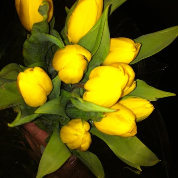 Photo taken at Trader Joe's by Lindsay B. on 5/13/2012-北卡罗来纳州夏洛特都市大道1133 Photo taken at Trader Joe's by Lindsay B. on 5/13/2012