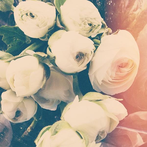 Photo taken at Trader Joe's by Emily R. on 3/27/2013