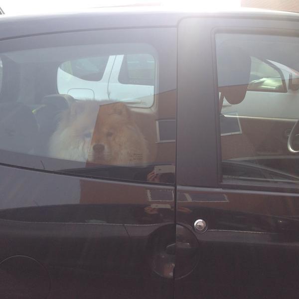 Photo taken at Colruyt by Anne-Sophie on 3/6/2015