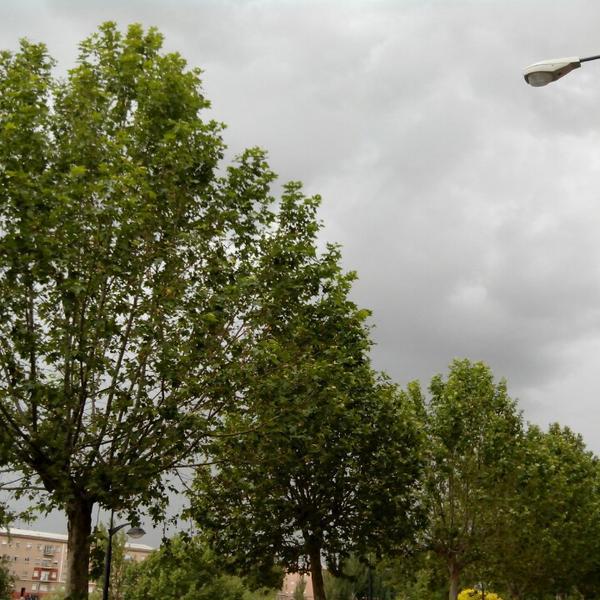 Photo taken at Mercadona by Francisco Javier C. on 6/18/2013