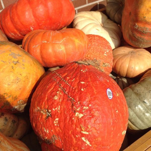 Photo taken at Trader Joe's by Rudi S. on 10/27/2014-美国密歇根州罗彻斯特山沃尔顿大道3044 Photo taken at Trader Joe's by Rudi S. on 10/27/2014