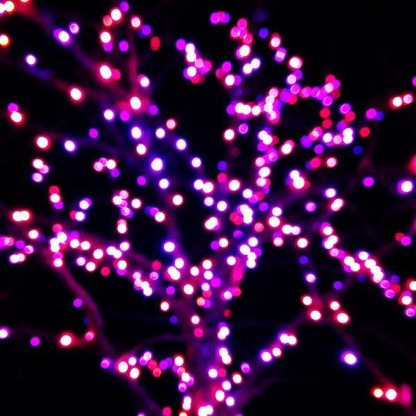 Photo taken at Trader Joe's by Alix M. on 11/19/2012-美国密歇根州罗彻斯特山沃尔顿大道3044 Photo taken at Trader Joe's by Alix M. on 11/19/2012