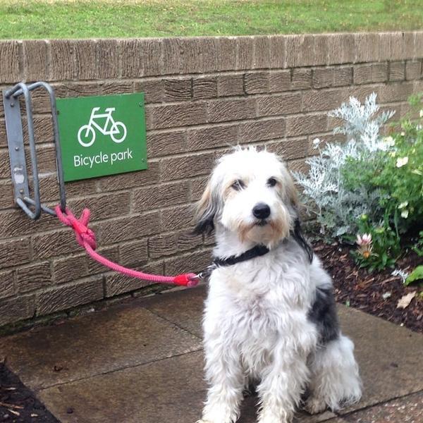 Waitrose 英国诺森伯兰郡庞蒂兰27主街