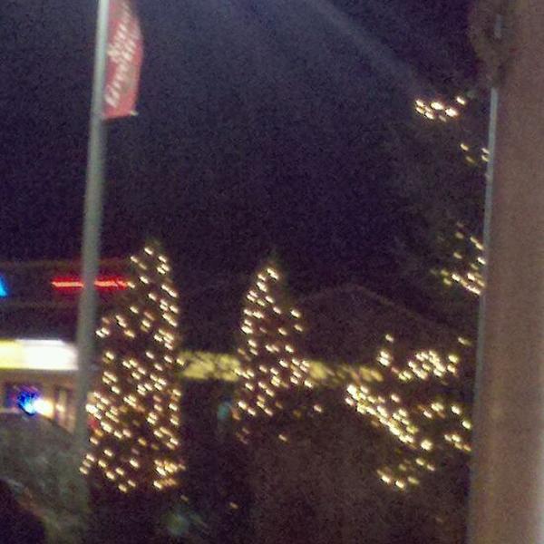 Photo taken at Trader Joe's by E.B. C. on 12/16/2011-美国康涅狄格州费尔菲尔德布莱克岩2258 Photo taken at Trader Joe's by E.B. C. on 12/16/2011