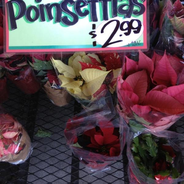 Photo taken at Trader Joe's by Terri S. on 12/2/2012