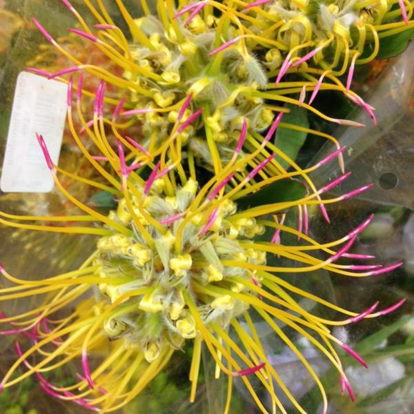 Photo taken at Trader Joe's by Terri S. on 3/30/2014