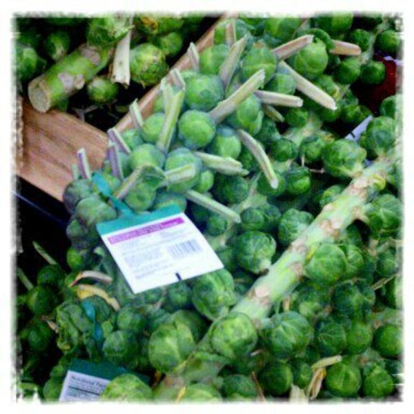 Photo taken at Trader Joe's by Brittany N. on 12/24/2011