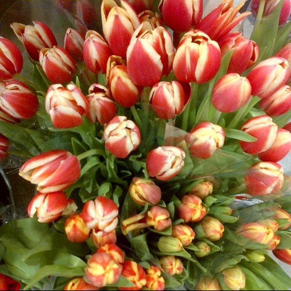 Photo taken at Whole Foods Market by Ken B. on 4/5/2013-佛罗里达州彭布罗克派恩斯大道14956号 Photo taken at Whole Foods Market by Ken B. on 4/5/2013