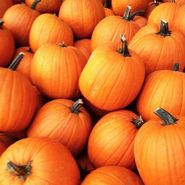 Photo taken at Whole Foods Market by Jeff C. on 9/13/2012