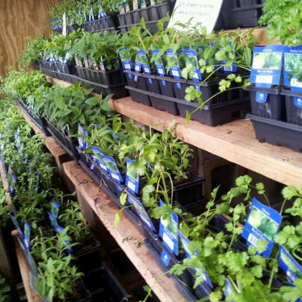 Photo taken at Whole Foods Market by Gary N. on 5/13/2012