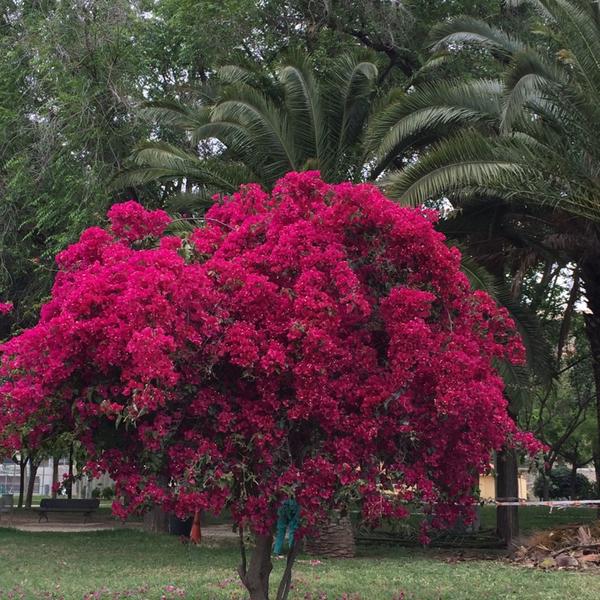 Photo taken at El Corte Inglés by GaLa