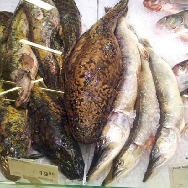 Photo taken at K-citymarket by Sergey S. on 11/9/2012