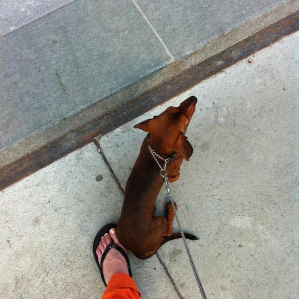 Photo taken at Kiwi by Aleksandra K. on 7/5/2012