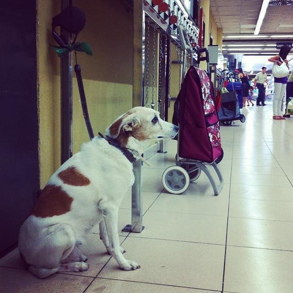 Photo taken at Mercadona by pau v. on 8/4/2012