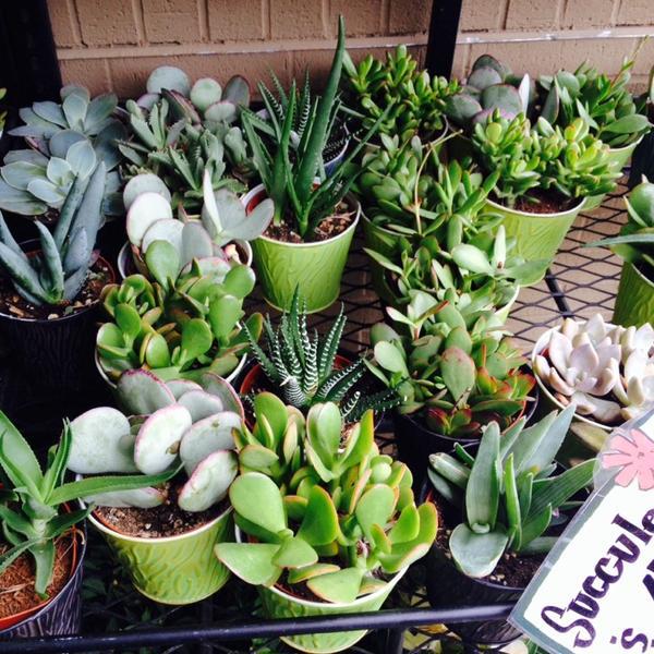 Photo taken at Trader Joe's by Jessica C. on 6/15/2014-科罗拉多州格林伍德村大学大道南5910号 Photo taken at Trader Joe's by Jessica C. on 6/15/2014