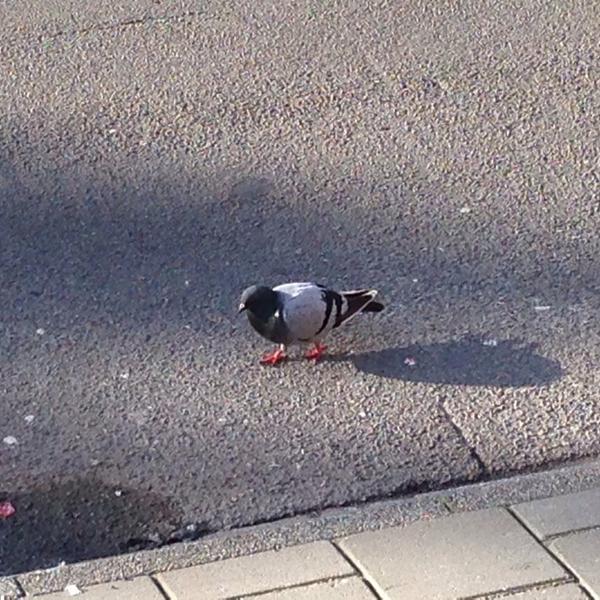 Photo taken at Albert Heijn by Robin K. on 5/14/2014