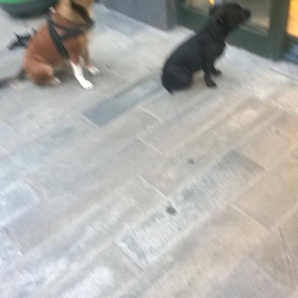 Photo taken at Kiwi by Mikkel Sloth J. on 6/19/2014