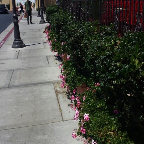 Photo taken at Trader Joe's by ☆ La la la L. on 8/8/2013