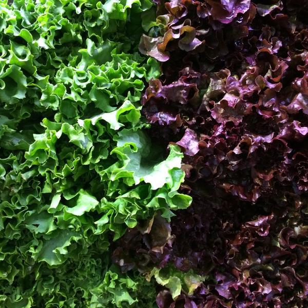 Photo taken at Whole Foods Market by PF A. on 9/2/2014