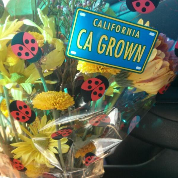 Photo taken at Trader Joe's by Jesse on 1/4/2013